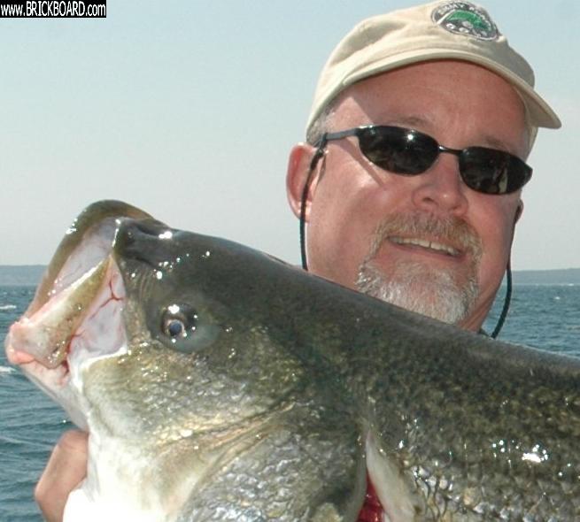 Volvo  -- Mmmm..  Great bass!