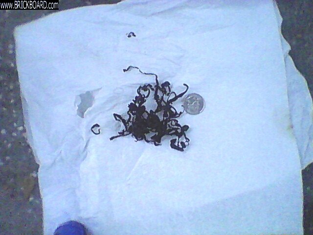 Volvo 850 -- 850 Fuel Pump Shavings