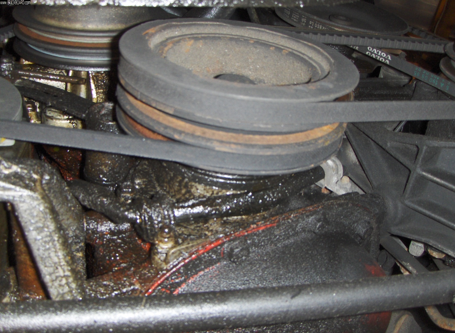 Volvo 200 -- 1991 alternator wiring