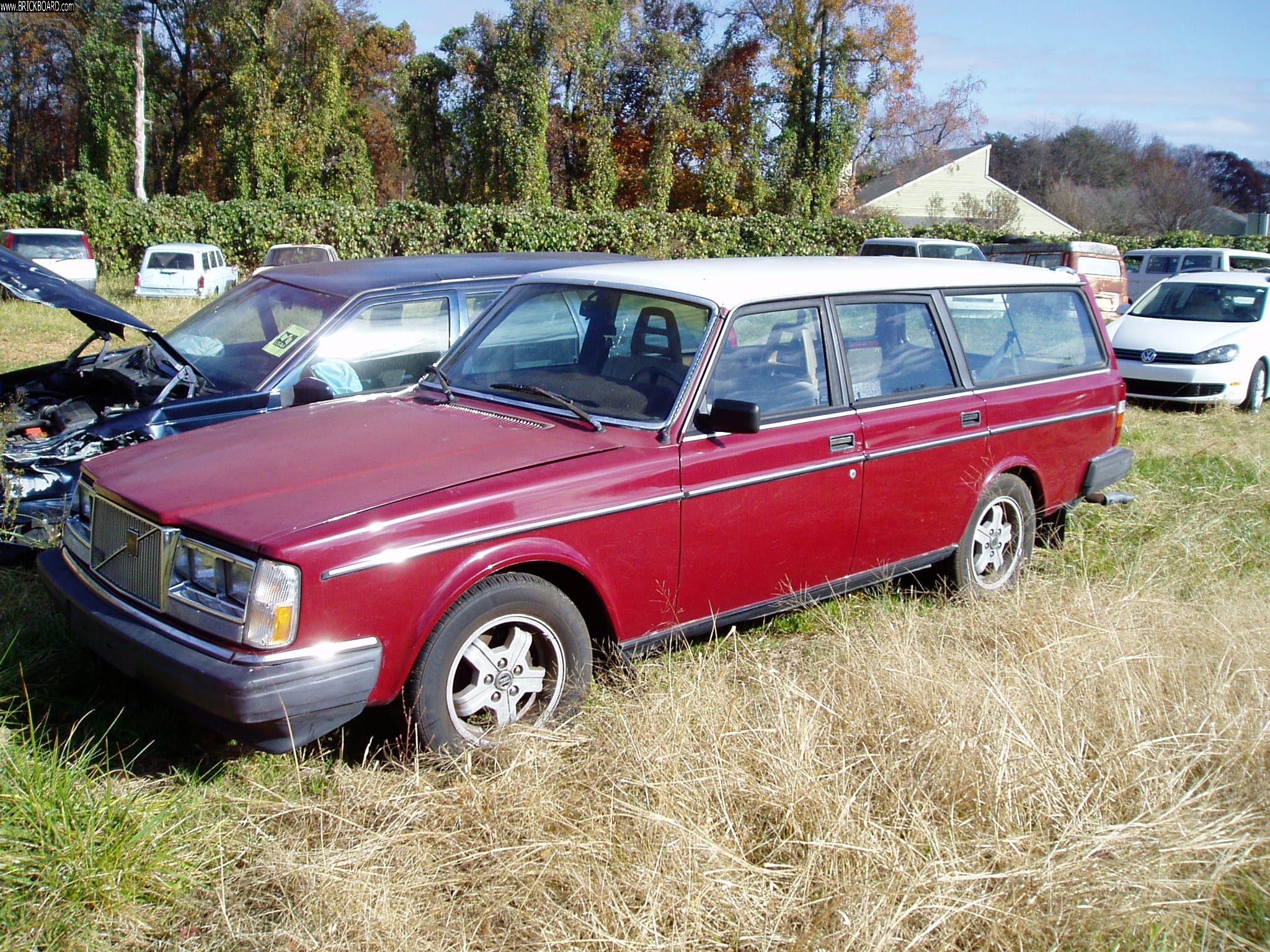 Volvo  -- 1984 Volvo 245 Diesel
