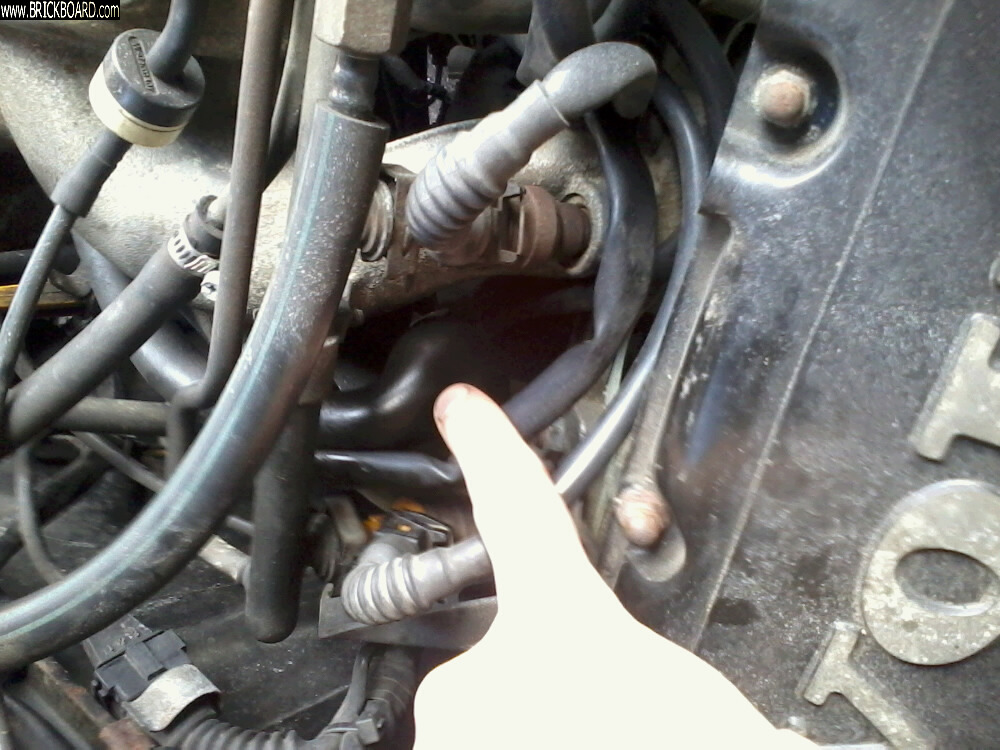 Volvo 200 -- 240 hose 