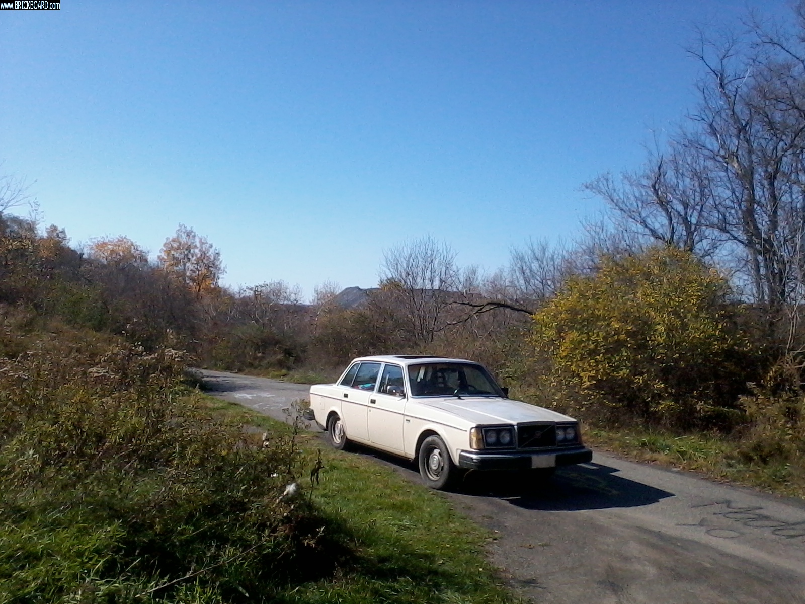 Volvo 200 -- Ingred