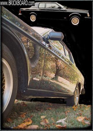 Volvo 200 -- Bertone in Autumn