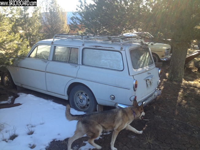 Volvo  -- 122wagon
