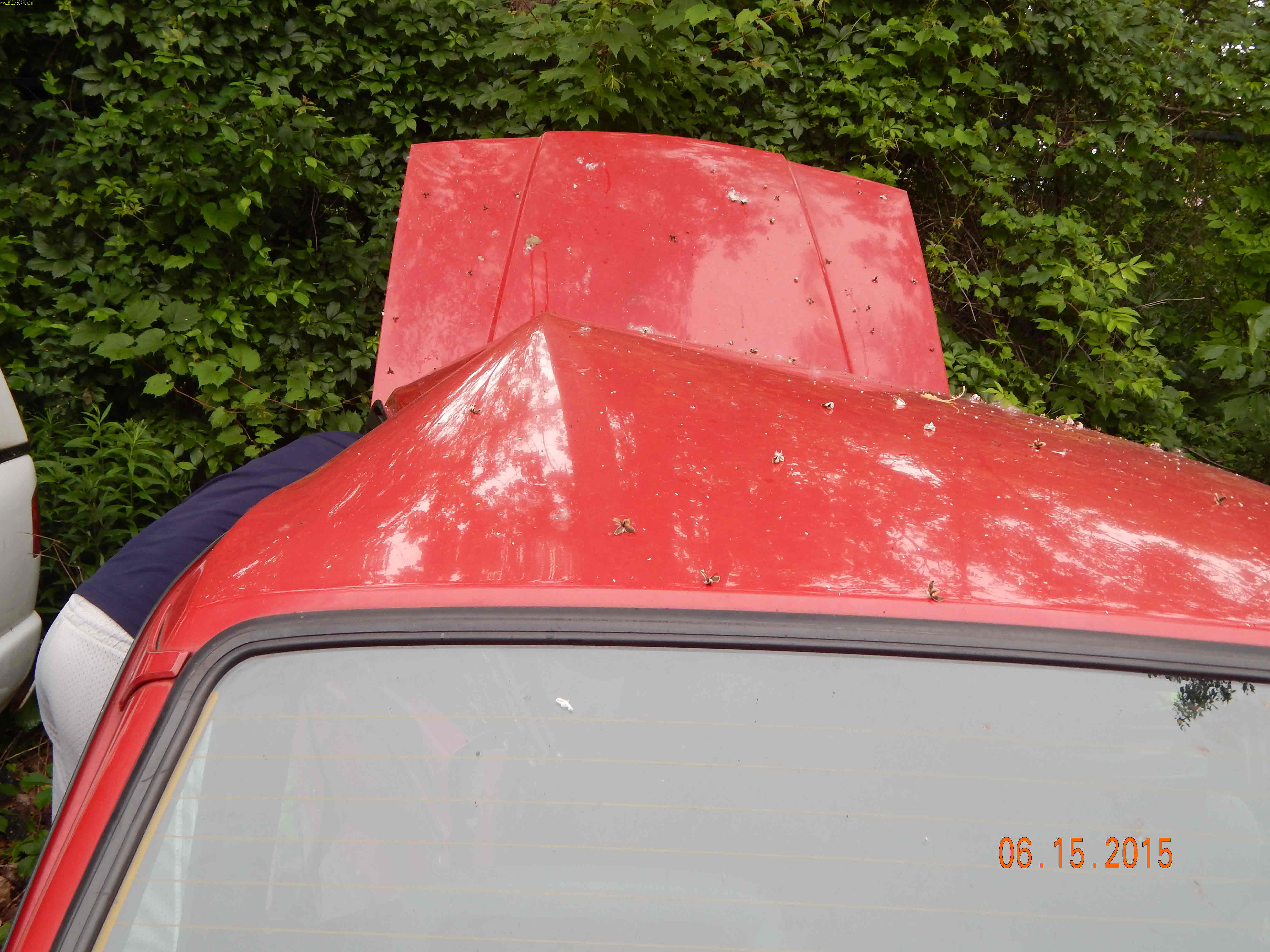 Volvo 200 -- CRASH PHOTOS.  1992 240 "Bandit