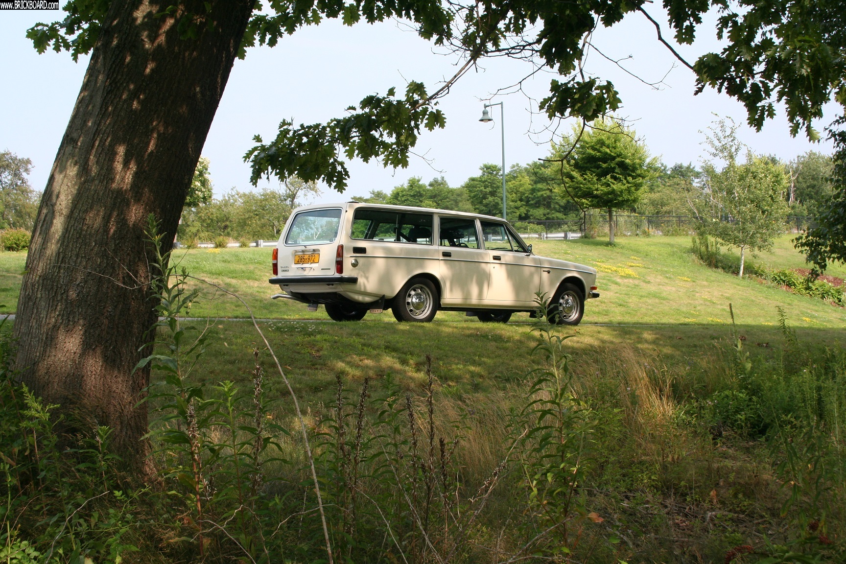 Volvo  -- 1971 145 DeLuxe