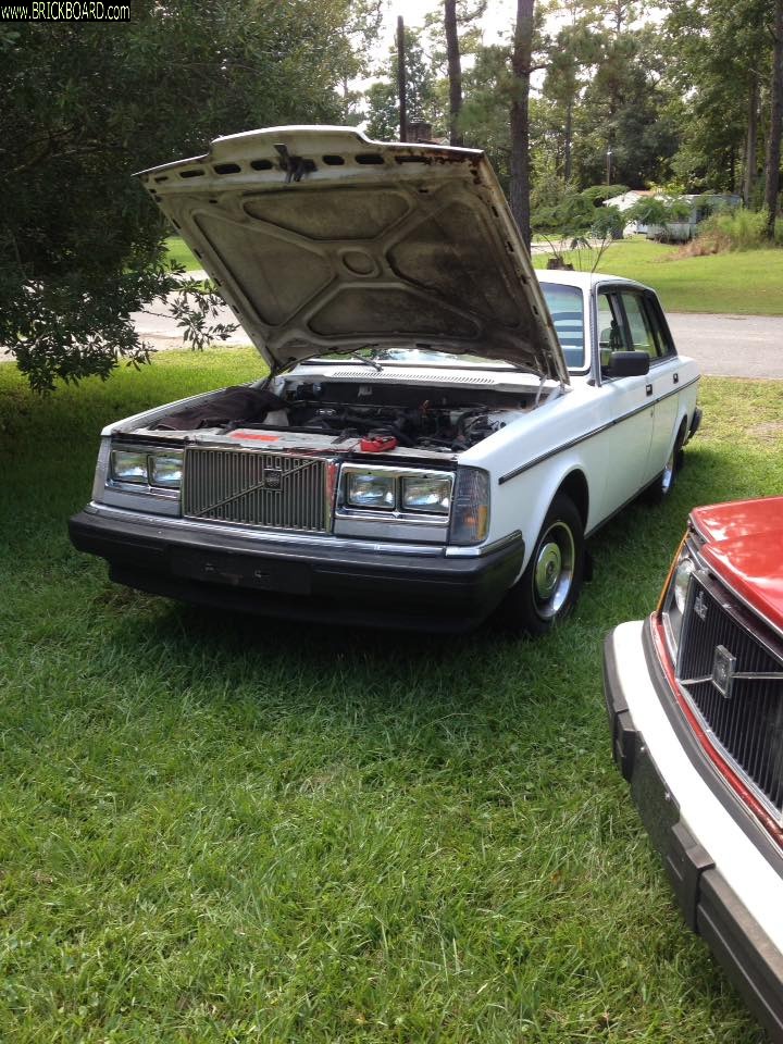 Volvo  -- 1985 Volvo 244