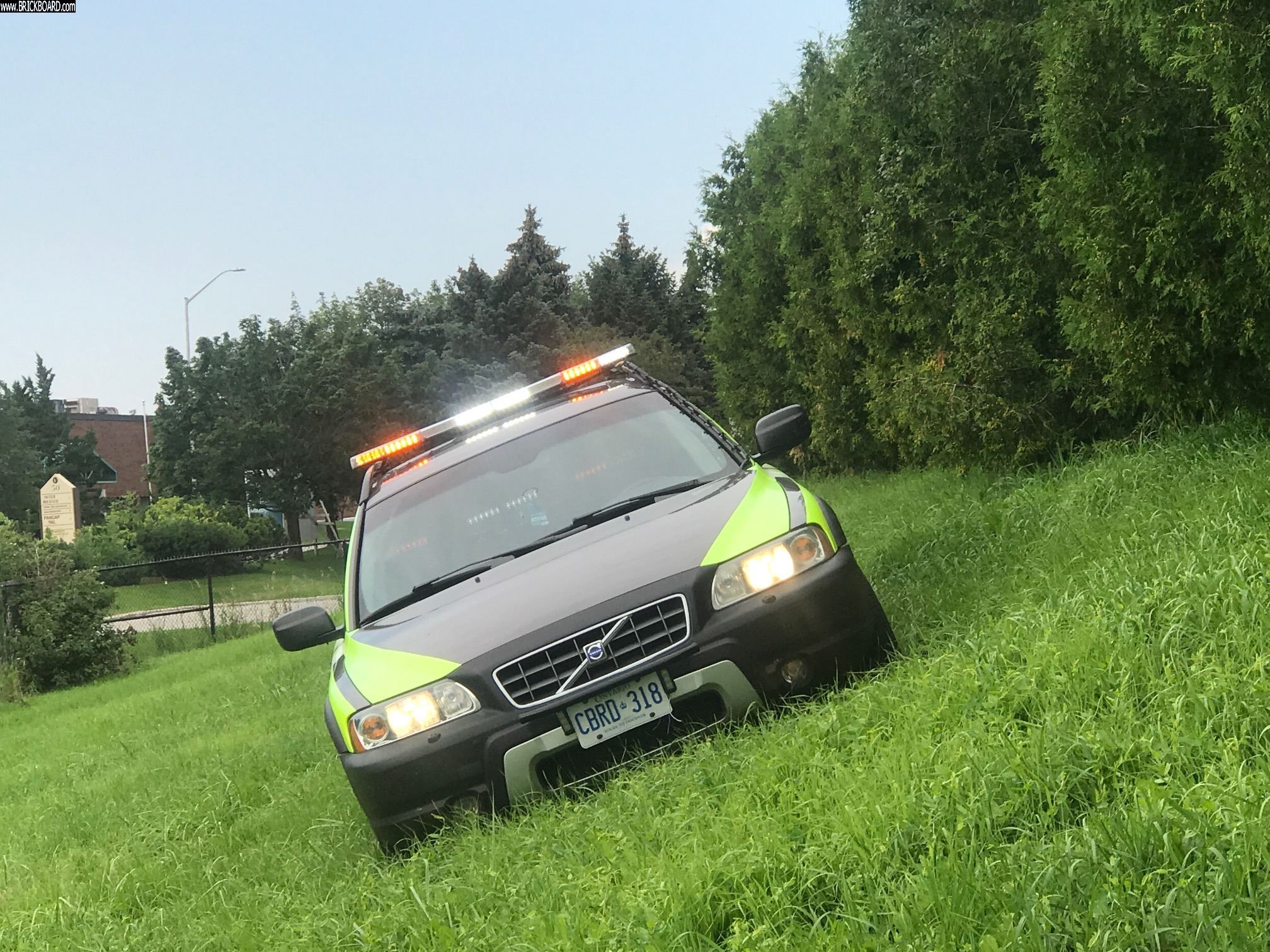 Volvo  -- wildlife 1