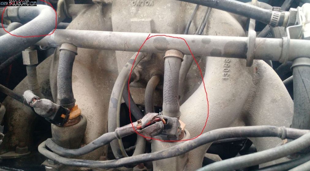 Volvo 200 -- 245 LH1.0 Fuel Rail Hoses
