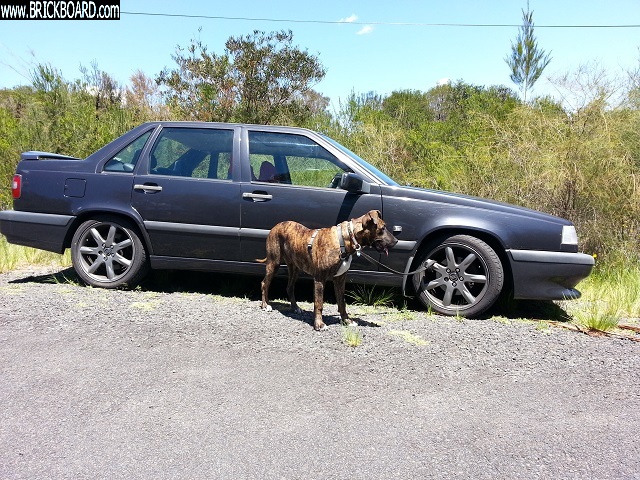 Volvo  -- Puff & Dawson