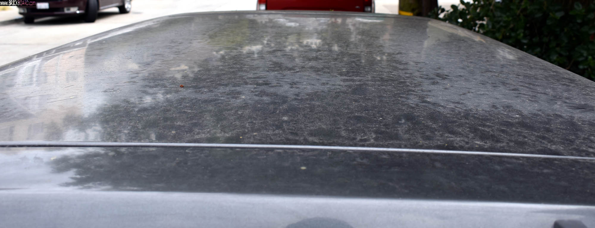 Volvo 700 -- 1989 745 Wagon Roof