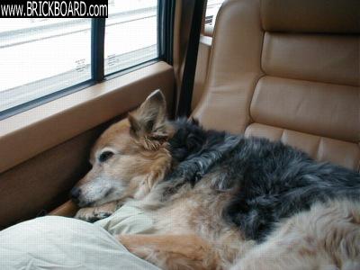 Volvo 900 -- Sugar's Trip