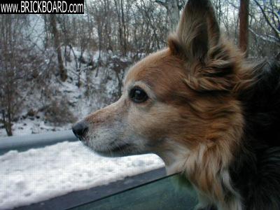 Volvo 900 -- Sugar's Trip