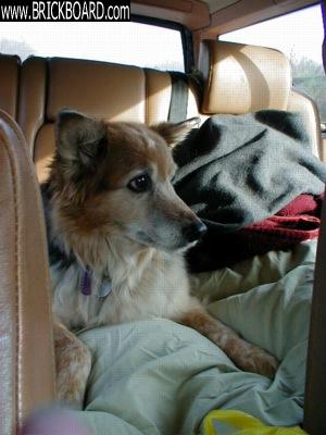 Volvo 900 -- Sugar's Trip