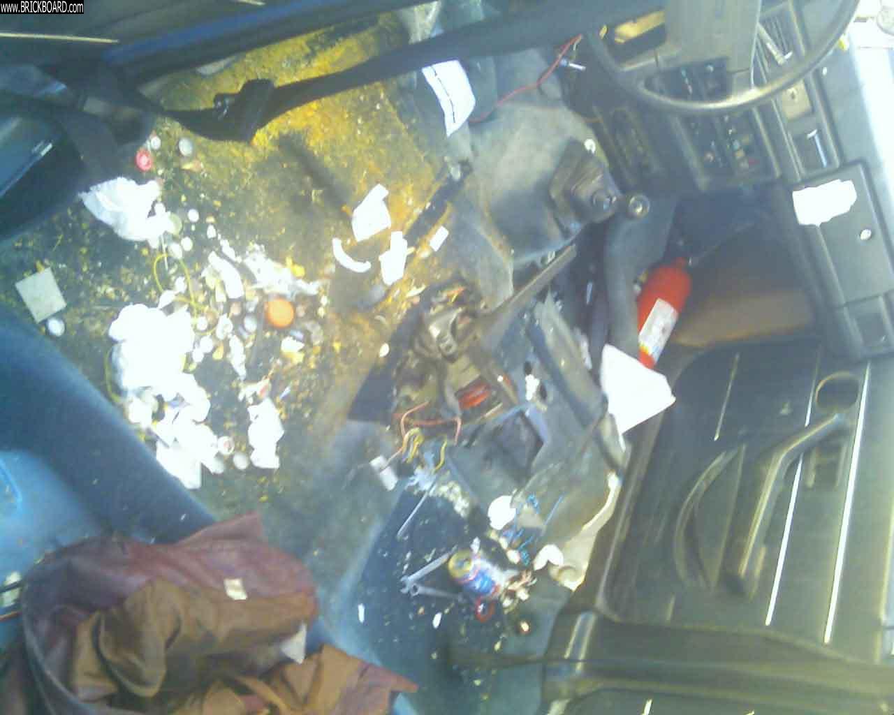 Volvo 200 -- 1977 Carpet beetle