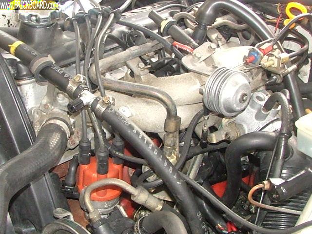 Volvo 200 -- 1985 245 GL "Helga