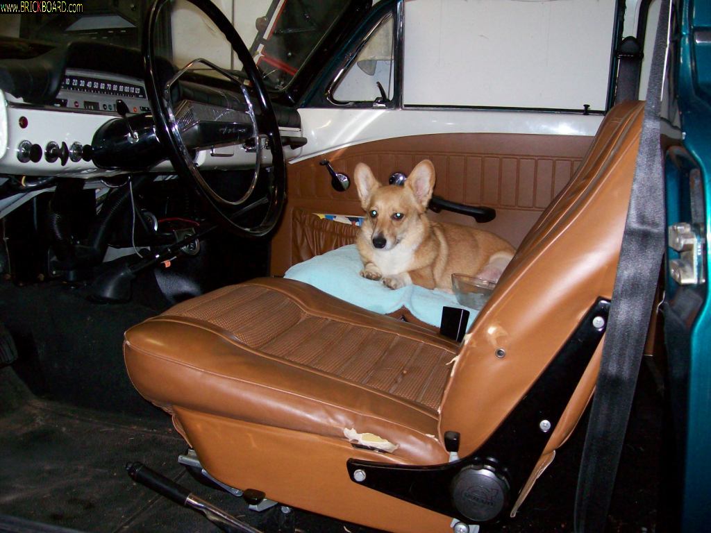 Volvo  -- Molly in the Volvo