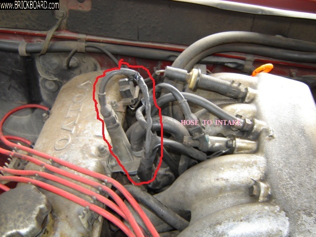 Volvo 200 -- 1982 242 intake injector?
